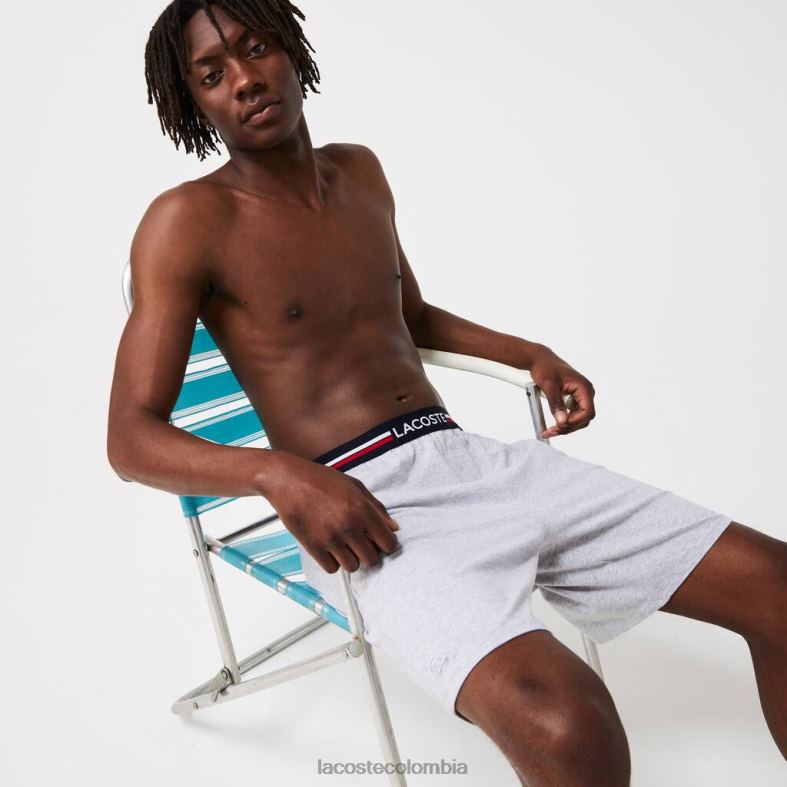 calzoncillos boxer largos con cintura a rayas lomo gris Lacoste ropa hombres 80XZX1375