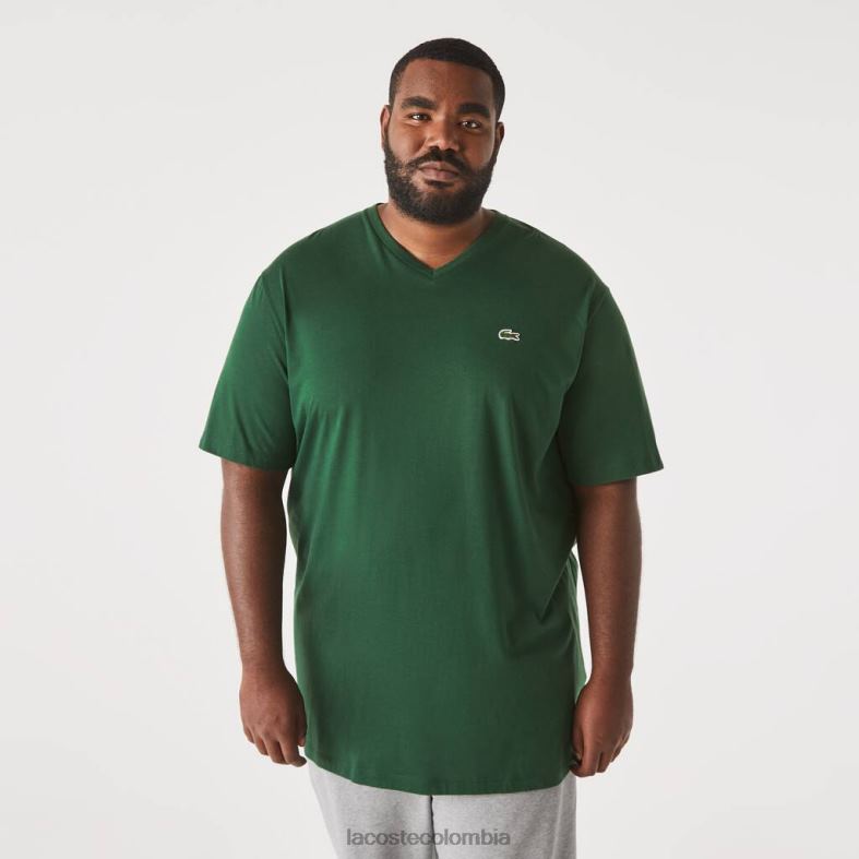 Polo de algodón con cuello en V y corte regular (talla grande) verde Lacoste ropa hombres 80XZX823