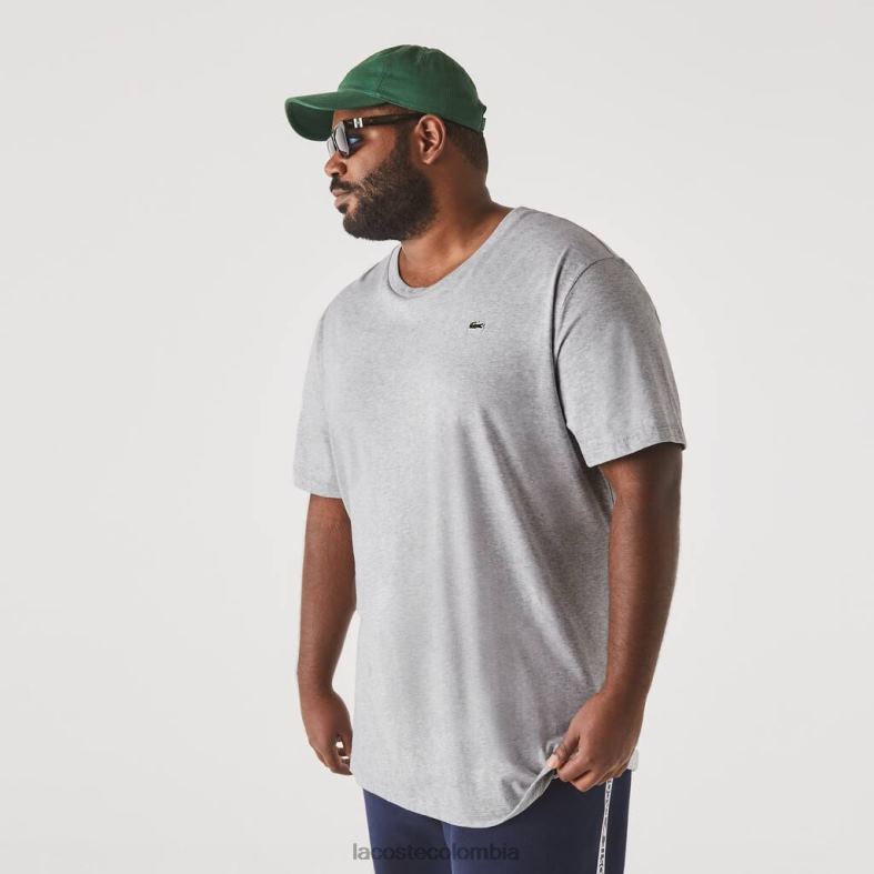 Camiseta de corte regular de punto de algodón pima lomo gris Lacoste ropa hombres 80XZX650