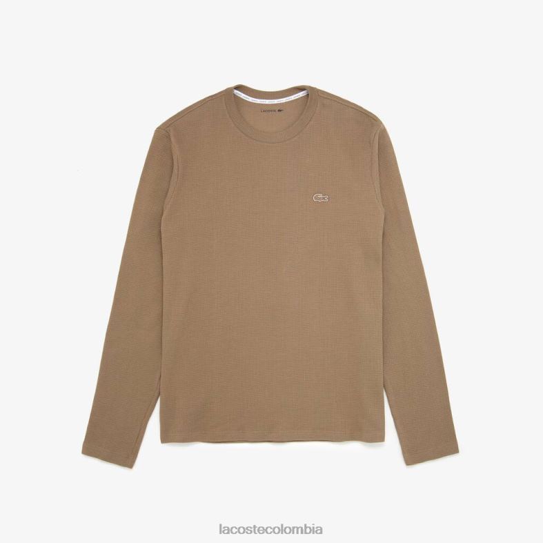 camiseta de manga larga marrón claro Lacoste ropa hombres 80XZX263