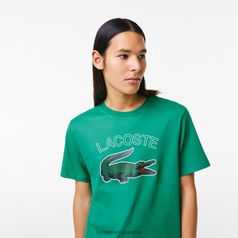 camiseta deportiva de punto con estampado de cocodrilo verde Lacoste ropa hombres 80XZX842