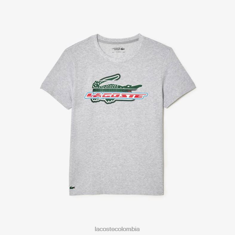 camiseta deportiva regular fit de algodón orgánico lomo gris Lacoste ropa hombres 80XZX140