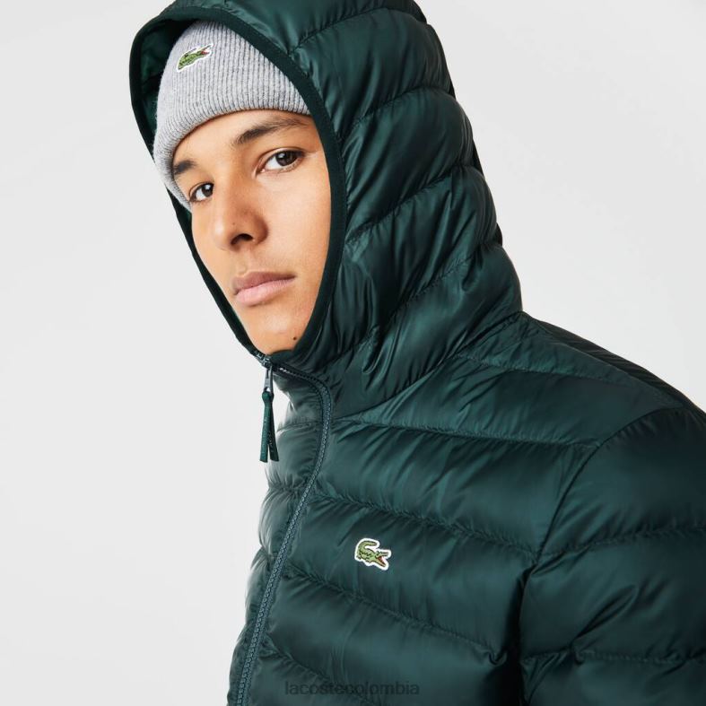 chaqueta acolchada con capucha verde Lacoste ropa hombres 80XZX1265