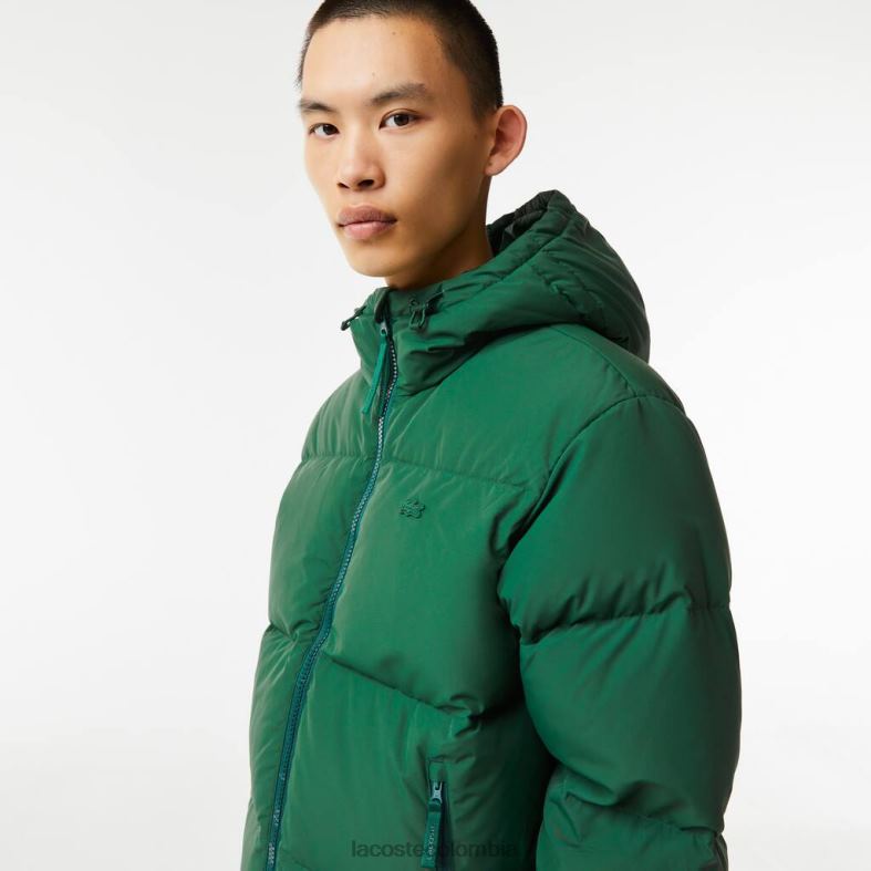 chaqueta acolchada repelente al agua verde Lacoste ropa hombres 80XZX1211