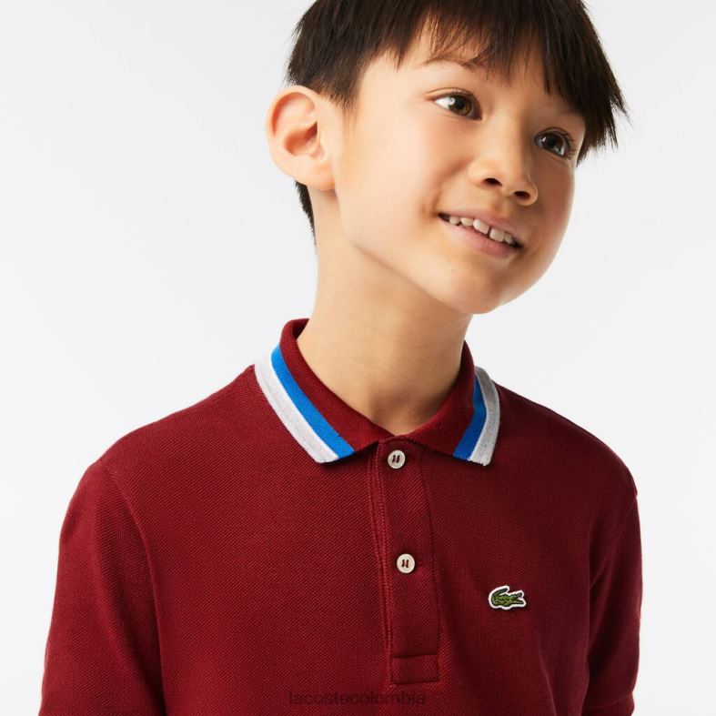 polo petit piqué de algodón con cuello tricolor burdeos/blanco Lacoste ropa niños 80XZX2954
