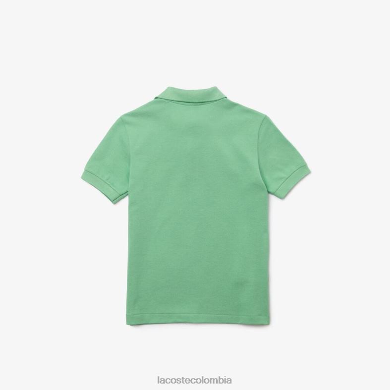 polo de petit piqué de corte regular verde Lacoste ropa niños 80XZX3124