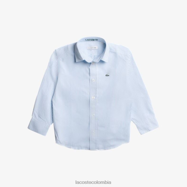 camisa Oxford de algodón con estampado de rayas blanco azul Lacoste ropa niños 80XZX3201