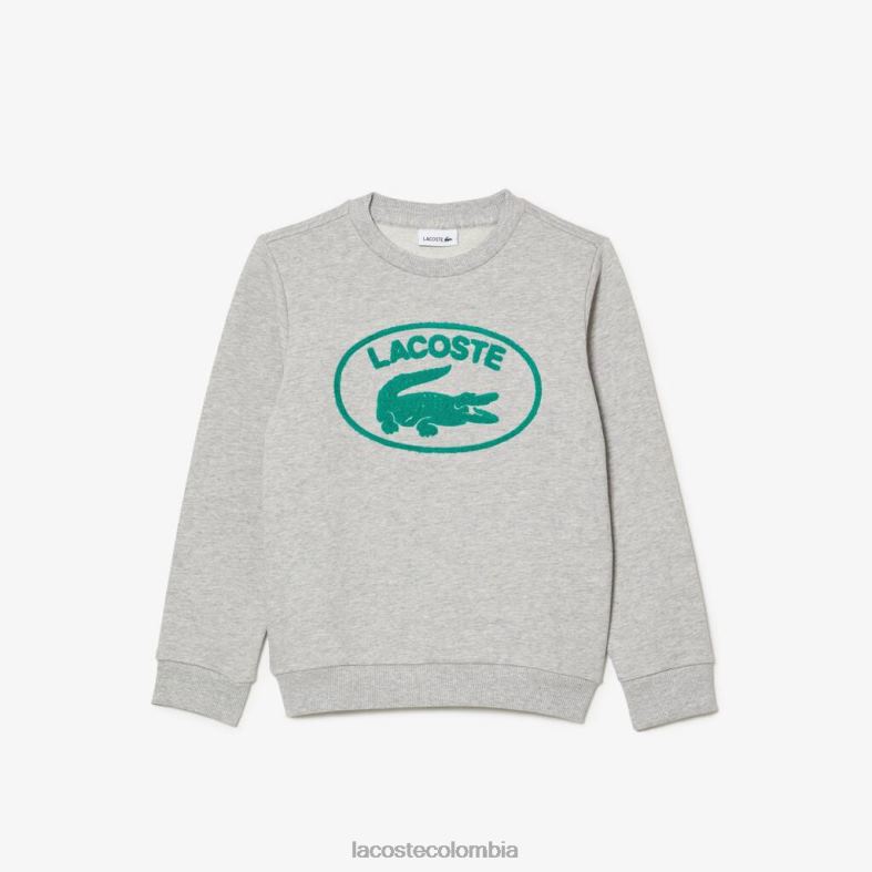 sudadera con bloques de color y la marca en contraste lomo gris Lacoste ropa niños 80XZX3057